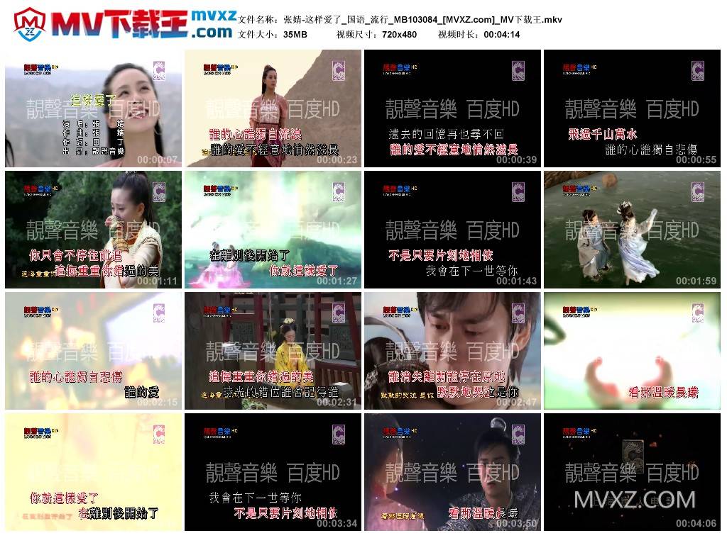 张婧-这样爱了_国语_流行_MB103084